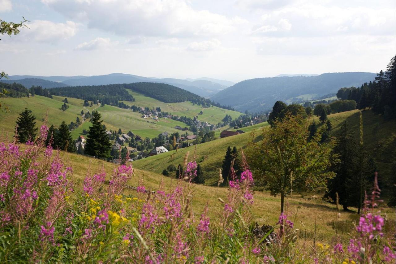 Haus Daheim 3*